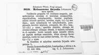 Paraleptosphaeria dryadis image